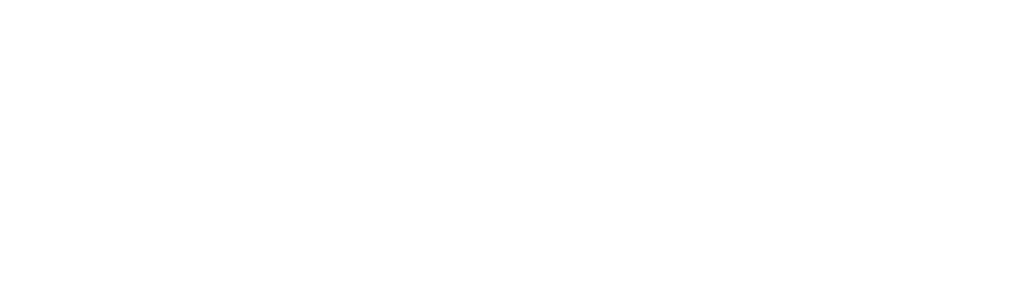 Bluwebz — Fusing IT and Business